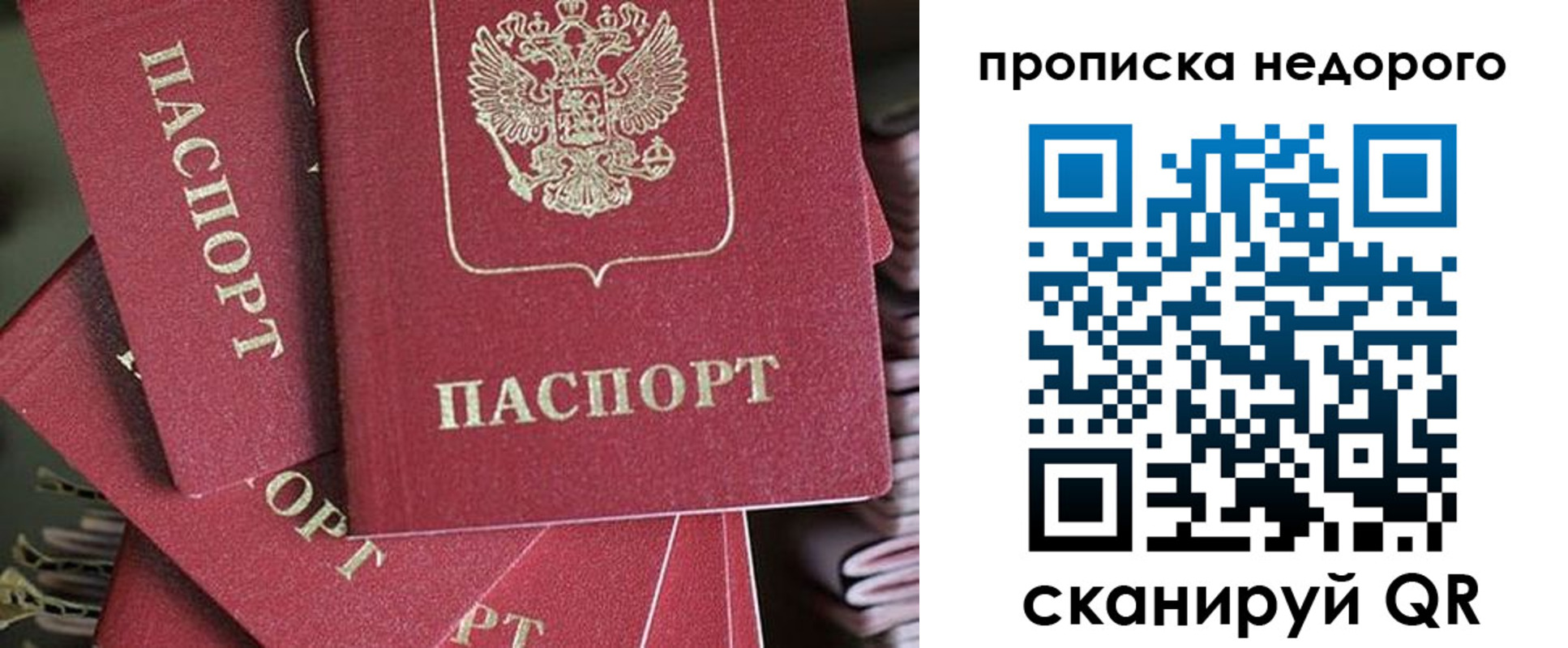 прописка поиск в Архангельске